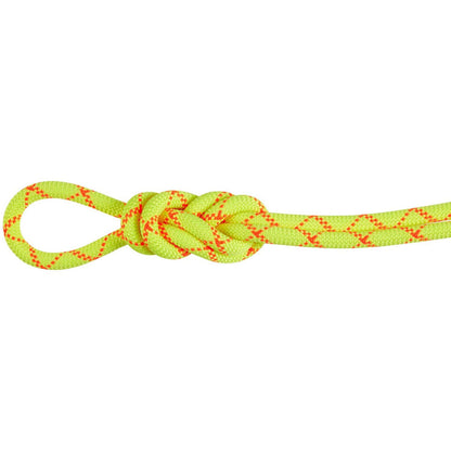 MAMMUT CUERDA SIMPLE 9.5 ALPINE CORE PROTECT DRY ROPE