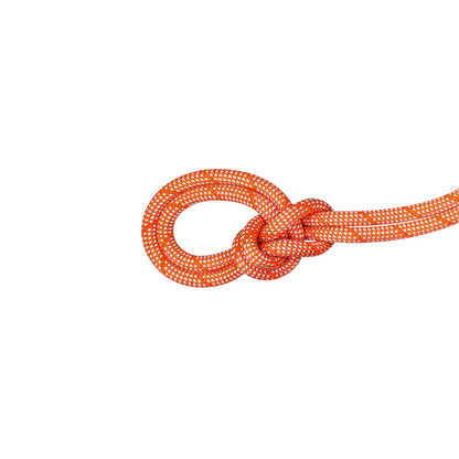 MAMMUT CUERDA SIMPLE 9.8 CRAG CLASSIC ROPE